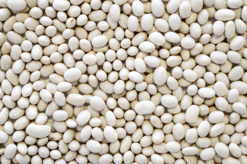Kidney beans stock image. Image of health, white, seed 50502689