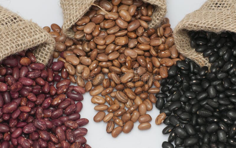 Kidney beans, pinto beans and black beans, in small bags. Kidney beans, pinto beans and black beans, in small bags.