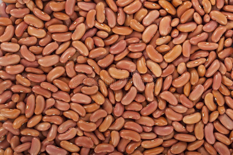 Kidney beans or red beans stock photos