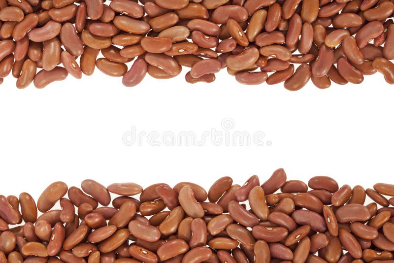 Kidney beans or red beans stock images