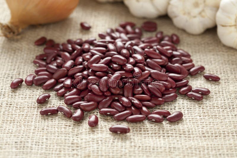 Kidney beans royalty free stock photography