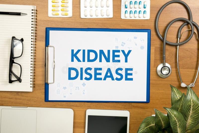 KIDNEY DISEASE Professional doctor use computer and medical equipment all around, desktop top view