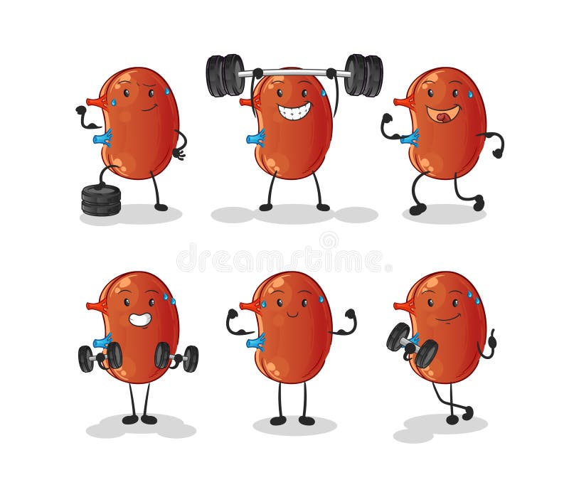 Kidney Exercise Set Character. Cartoon Mascot Vector Stock Vector