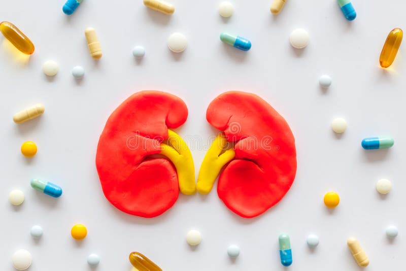 Kidney illness and treatment. Organ and pills on white background top view.