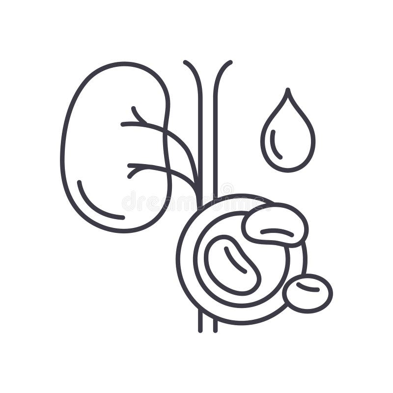 Kidney Test Icon, Linear Isolated Illustration, Thin Line Vector, 