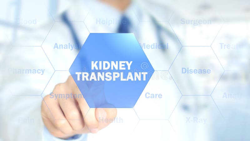 Kidney Transplant , Doctor working on holographic interface, Motion Graphics, high quality , hologram