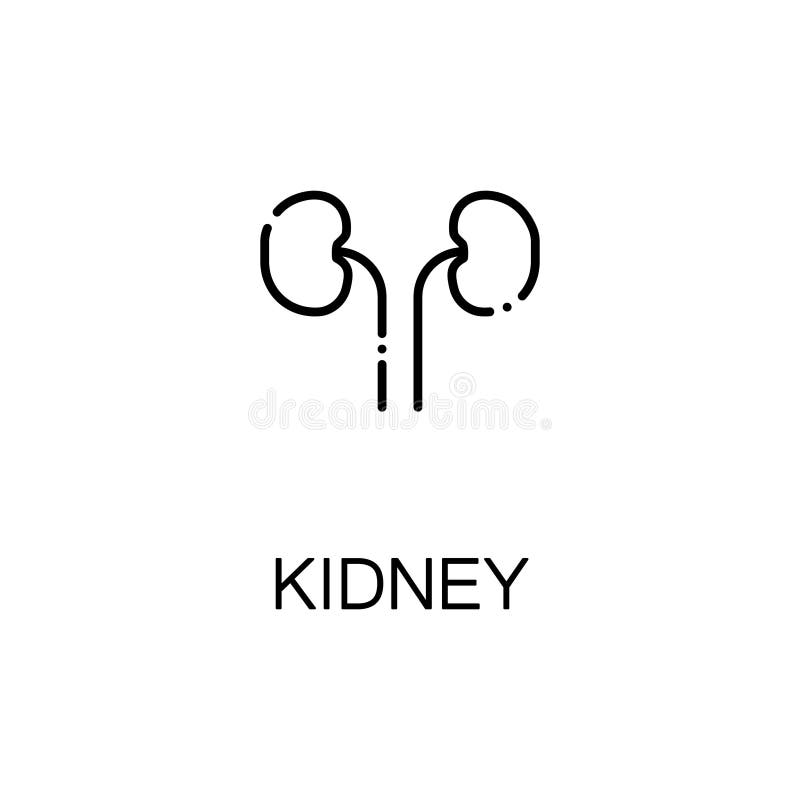 Kidneyflatpictogram of embleem voor Webontwerp vector illustratie Kidneyflatpictogram of embleem voor Webontwerp vector illustratie