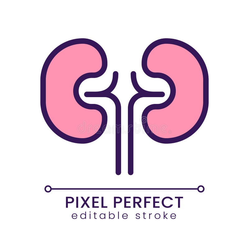 Kidneys pixel perfect RGB color icon royalty free illustration