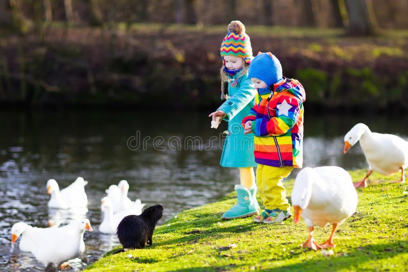 Kids feeding otter in autumn park