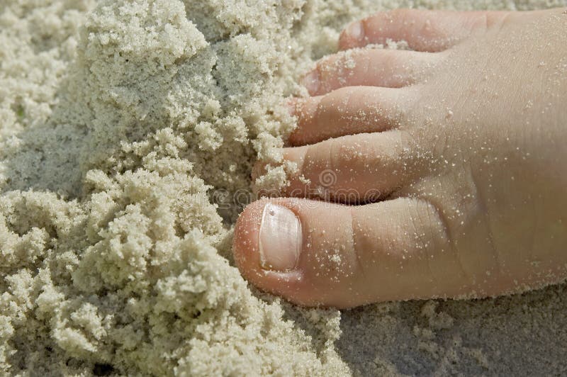 A child's foot in sandy beach. A child's foot in sandy beach