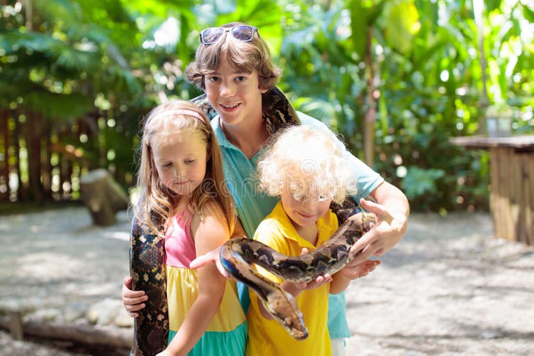 845 School Children Zoo Stock Photos - Free & Royalty-Free Stock Photos ...