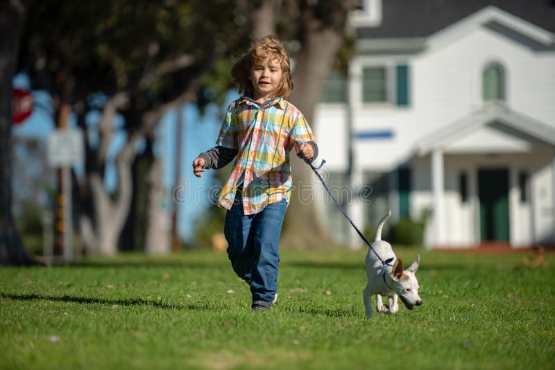 Kids insurance. Little boy kid running with dog, playing owner and pet in summer meadow. Happy Puppy. Family, parenthood