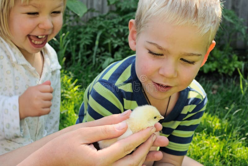 Kids and newborn chick