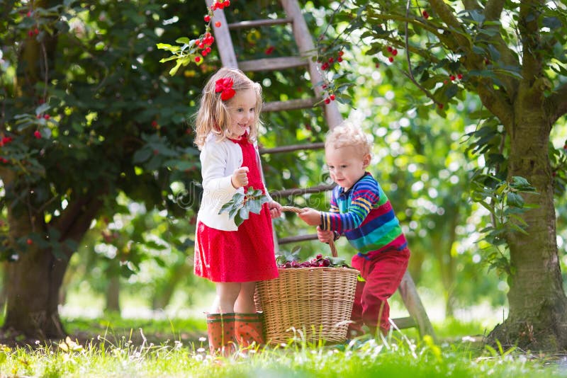 Kids Picking Fresh Apple on a Farm Stock Photo - Image of apple, family ...