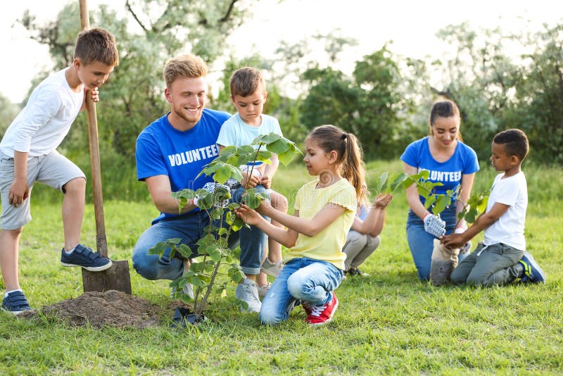 Kids Planting Trees with Volunteers Stock Image Image of environment