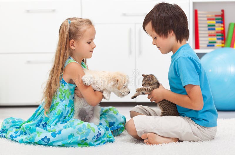 Kids playing with their pets - dog and cat. Kids playing with their pets - dog and cat