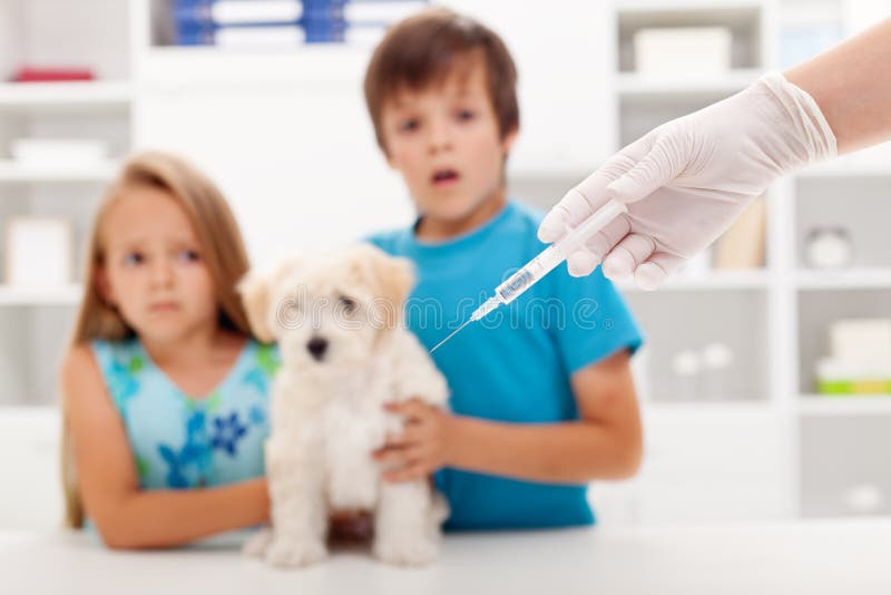 Kids at the veterinary doctor with their pet stock photography Kids at the veterinary doctor with their pet stock photography