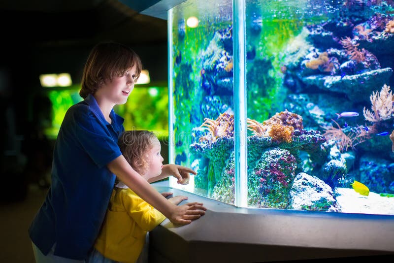 Kids watching fishes in aquarium royalty free stock photography Kids watching fishes in aquarium royalty free stock photography