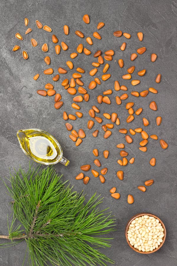 Pine nuts, pine nut oil and cedar branch. Flat lay.  Black background. Pine nuts, pine nut oil and cedar branch. Flat lay.  Black background