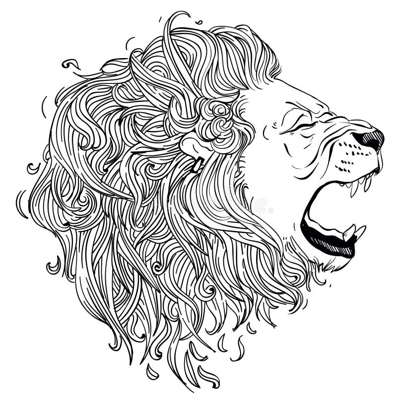 kierowniczy lew ilustracji kierowniczy lew ilustracji