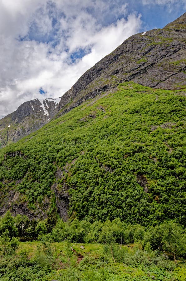 Beautiful norwegian landscape in the summer day - Geiranger - Norway. Travel destination Norway. 02.07.2012. Beautiful norwegian landscape in the summer day - Geiranger - Norway. Travel destination Norway. 02.07.2012