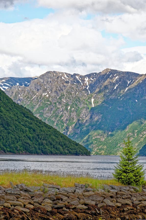 Beautiful norwegian landscape in the summer day - Geiranger - Norway. Travel destination Norway. 02.07.2012. Beautiful norwegian landscape in the summer day - Geiranger - Norway. Travel destination Norway. 02.07.2012