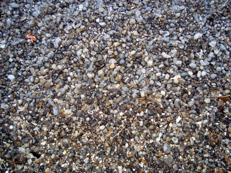 Kiesel auf dem Strand stockbild Kiesel auf dem Strand stockbild