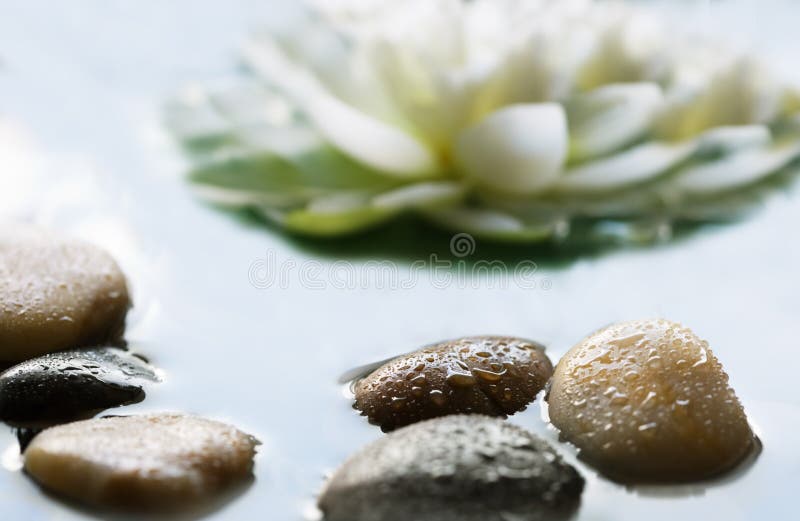 Kiesel im Wasser stockbild. Bild von felsen, teich, harmonie 8128051