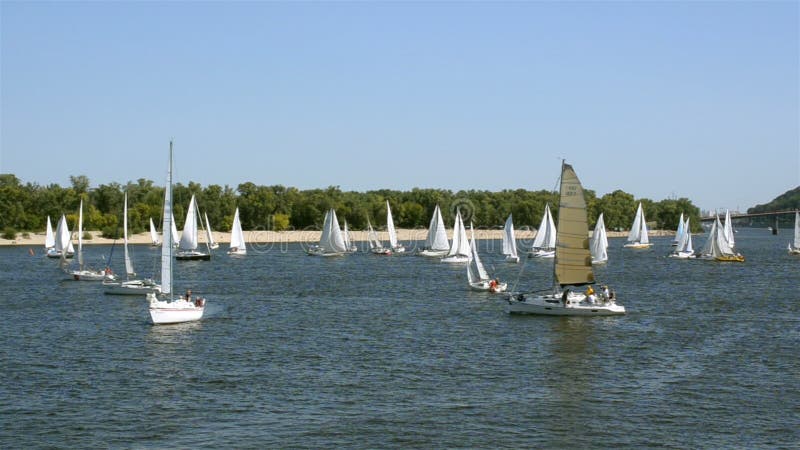 Many beautiful floating sail yachts medium size with crew , on the Dnieper River.