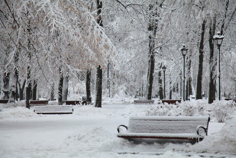 Snow covered benches and lanterns in the city park