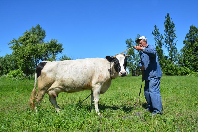 KIEW, UKRAINE - September, 02, 2019: Alte Bauern halten Kuh am Seil stockbild KIEW, UKRAINE - September, 02, 2019: Alte Bauern halten Kuh am Seil stockbild