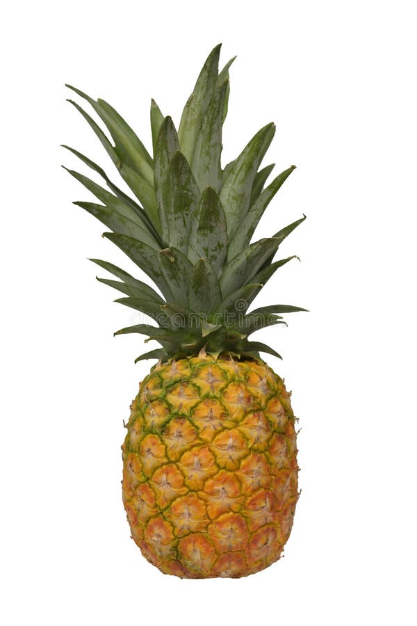 Kijk op een ananas op een witte achtergrond stock afbeelding