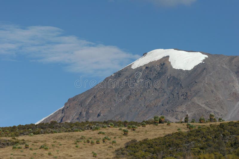 Kilimanjaro