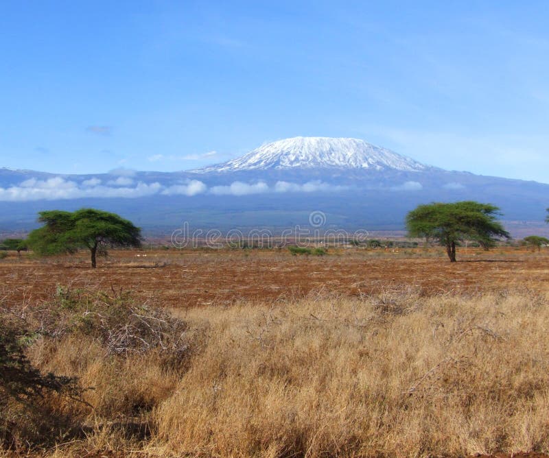 The mighty Mount Kilimanjaro with grassland in foreground between 2 acacia trees. Kenya Africa