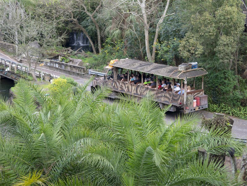 Kilimanjaro safari, Disney World, Zwierzęcy królestwo, podróż fotografia stock Kilimanjaro safari, Disney World, Zwierzęcy królestwo, podróż fotografia stock