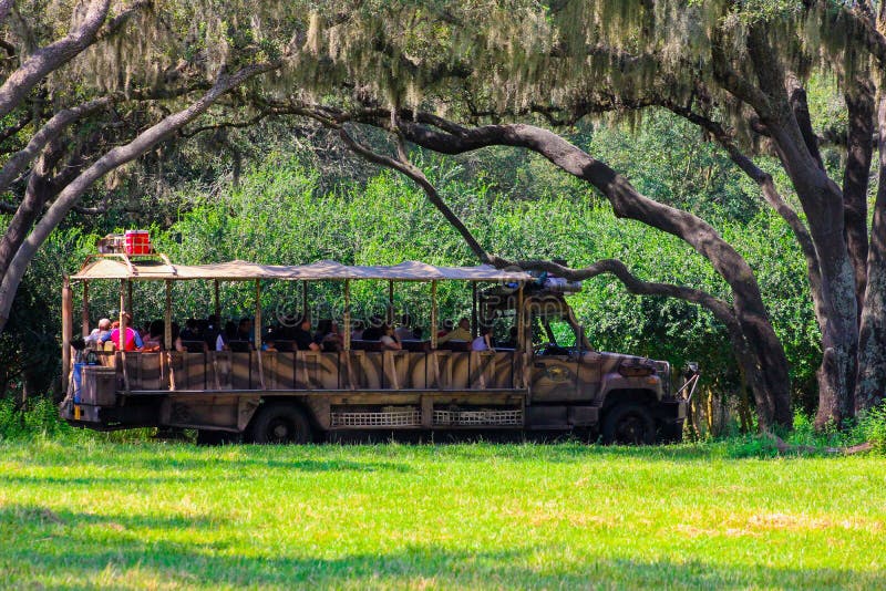 Kilimanjaro safari przy Zwierzęcym królestwem obraz royalty free Kilimanjaro safari przy Zwierzęcym królestwem obraz royalty free
