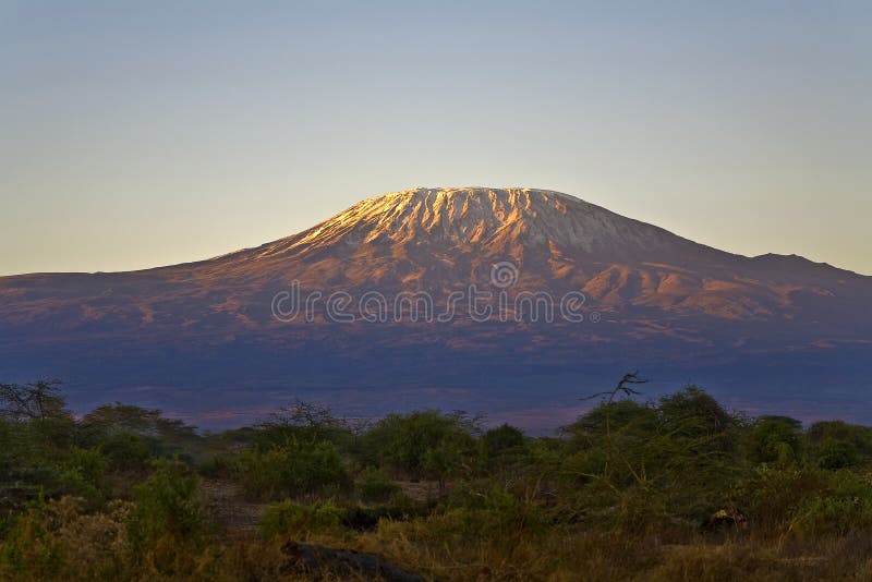 Kilimanjaro早晨