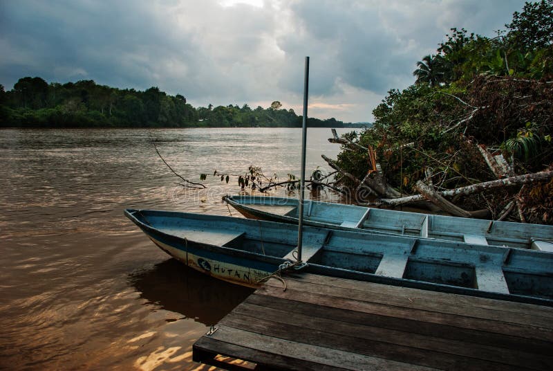 Kinabatangan-Fluss, Borneo, Sabah Malaysia Abendlandschaft von Bäumen, von Wasser und von Booten stockfotografie Kinabatangan-Fluss, Borneo, Sabah Malaysia Abendlandschaft von Bäumen, von Wasser und von Booten stockfotografie