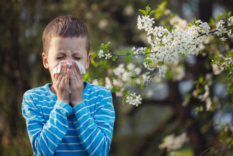 Kind die allergie hebben Jongenszitting openlucht met weefsel in park dichtbij bloeiende bloemen