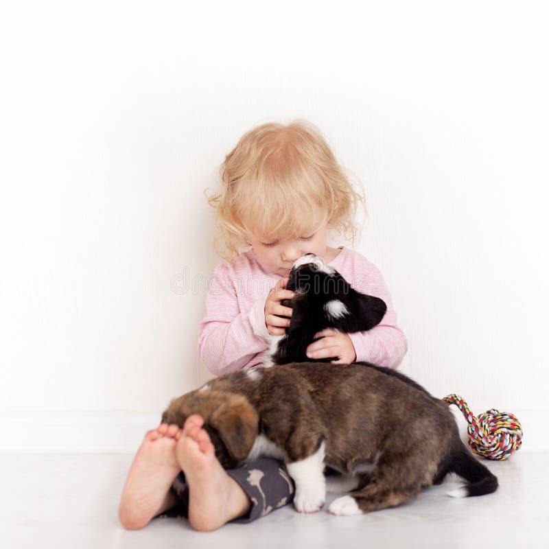 Kind die met kleine honden thuis spelen meisje met puppy babymeisje kussen, die met puppy op witte achtergrond koesteren royalty-vrije stock fotografie Kind die met kleine honden thuis spelen meisje met puppy babymeisje kussen, die met puppy op witte achtergrond koesteren royalty-vrije stock fotografie