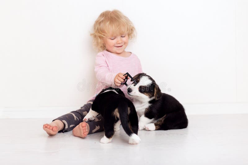 Kind die met kleine honden thuis spelen meisje met puppy babymeisje kussen, die met puppy op witte achtergrond koesteren royalty-vrije stock afbeelding Kind die met kleine honden thuis spelen meisje met puppy babymeisje kussen, die met puppy op witte achtergrond koesteren royalty-vrije stock afbeelding