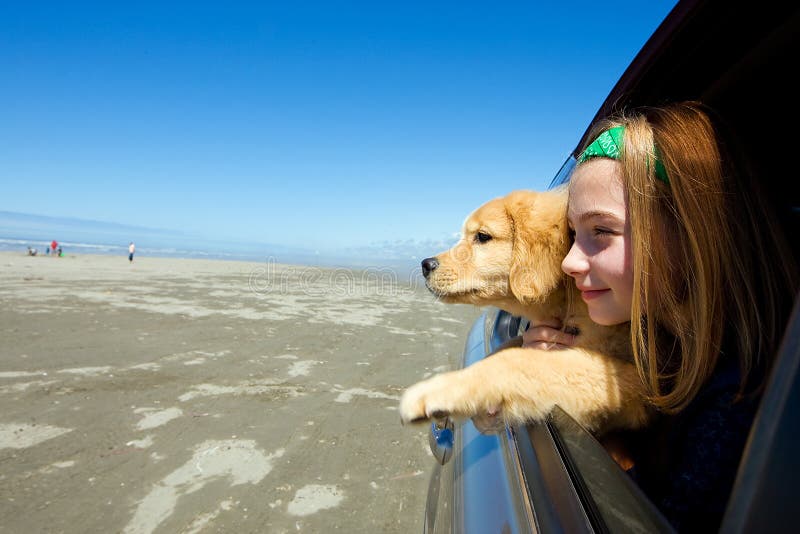 Kind en puppy bij het strand royalty-vrije stock afbeelding Kind en puppy bij het strand royalty-vrije stock afbeelding