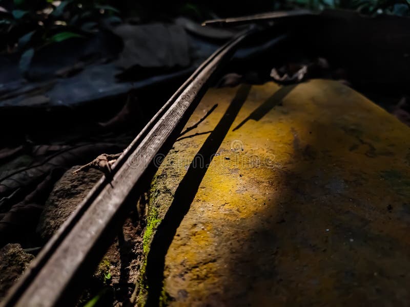 It is a Kind of Yellow Algae on the Concrete Closeup Shot when Sunlight Fall on it Stock Photo