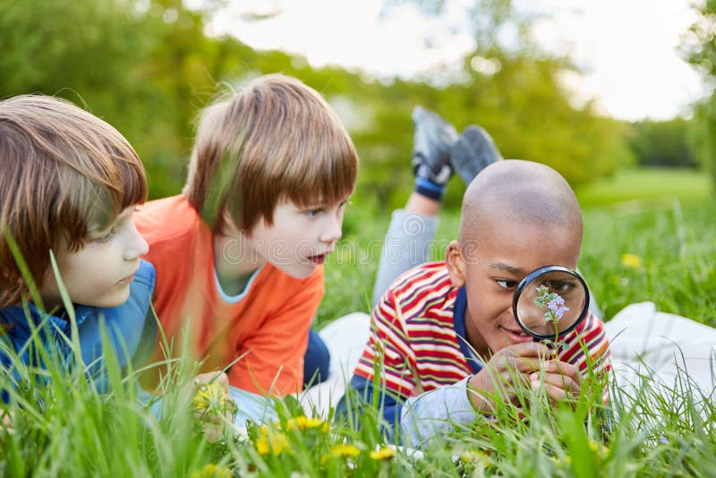 Three children are looking at a flower through a magnifying glass as a researcher and botanist. Three children are looking at a flower through a magnifying glass as a researcher and botanist