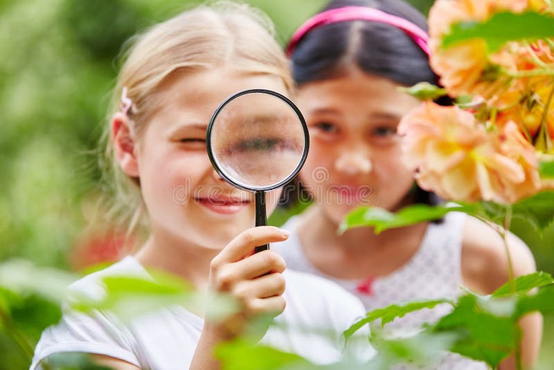 Children looking at flowers with curiosity using magnifying glass in nature. Children looking at flowers with curiosity using magnifying glass in nature