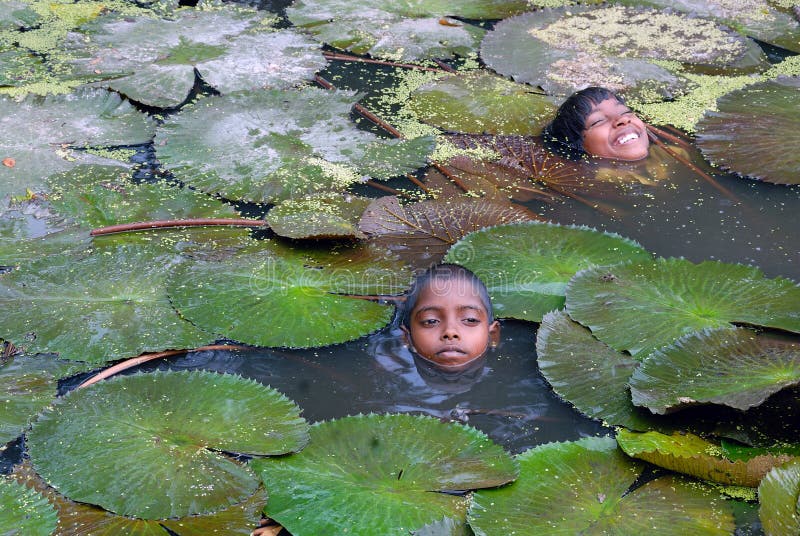 Kinder in einem Teich redaktionelles bild. Bild von schönheit 13851290