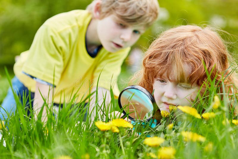 Two children discover nature and the environment with a magnifying glass. Two children discover nature and the environment with a magnifying glass