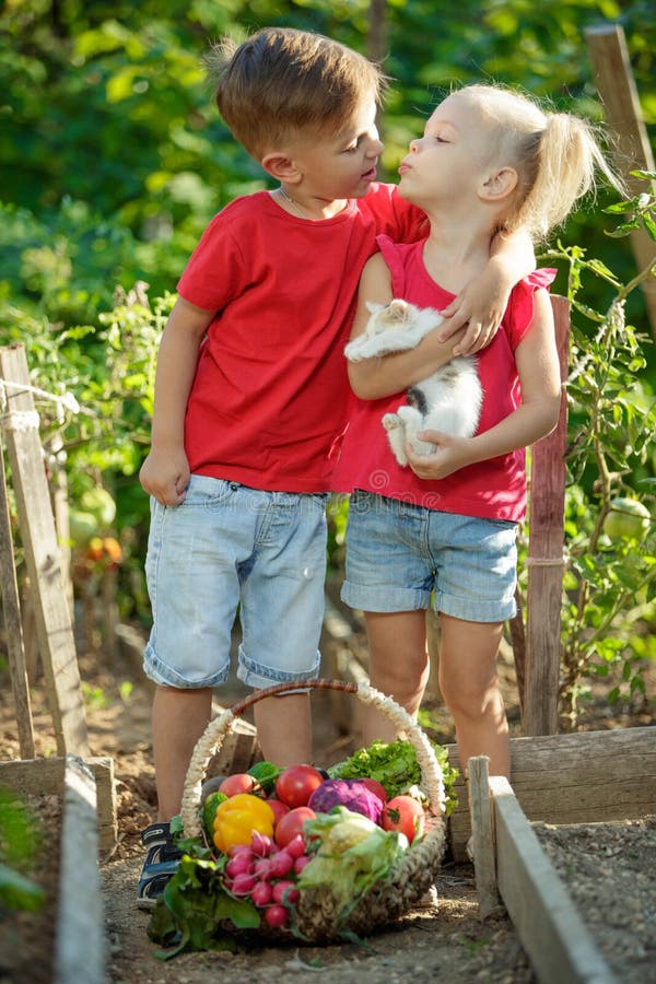 Kinder Im GartenAuswahlgem?se Stockfoto Bild von