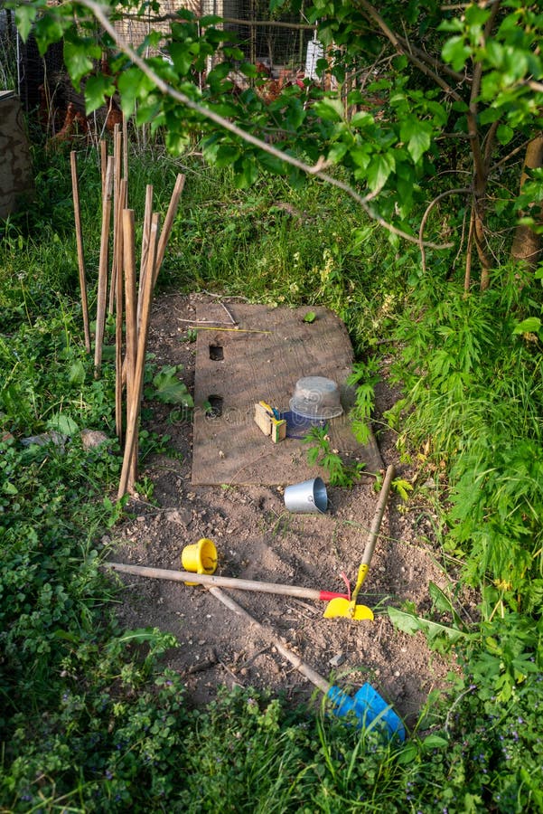 Kinder Spielen Garten Mit Grünem Gras Und Spielzeug