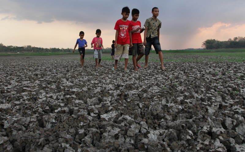 Kinderen die in de pens Kerto Sragen, Centraal Java Indonesia spelen royalty-vrije stock fotografie Kinderen die in de pens Kerto Sragen, Centraal Java Indonesia spelen royalty-vrije stock fotografie